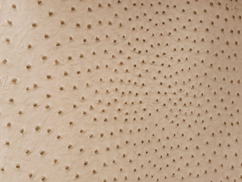 Ostrich Leather Vinyl Foam Centre, Ostrich Leather Fabric Suppliers